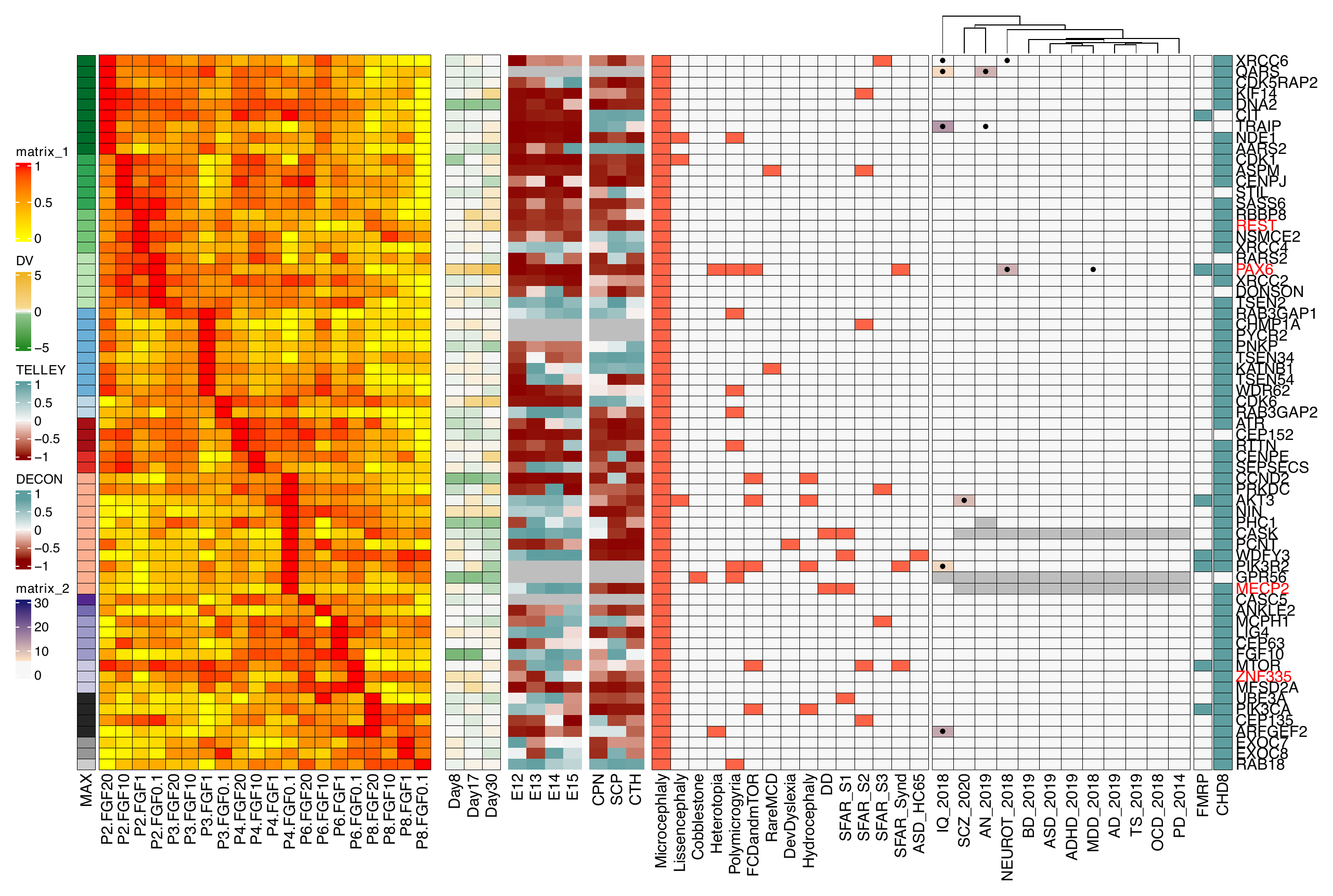 Microcephaly heatmap preview